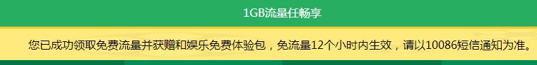 China mobile 1 g flow