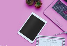 域名查询和注册-西部数码知识库