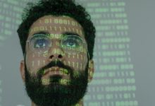 网址查询工具-西部数码知识库