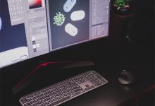 香港主机在哪里买-西部数码知识库