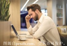 到期 域名 抢注-西部数码知识库