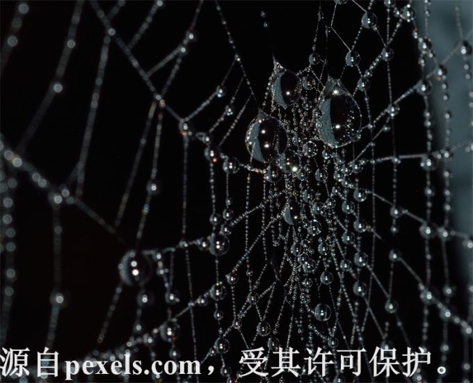 怎么大批量的抢注域名
