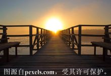 如何购买过期的域名-西部数码知识库