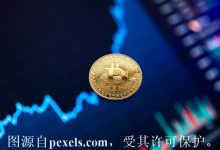 如何买到刚到期的域名-西部数码知识库