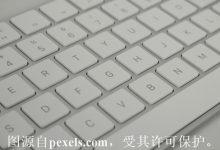 域名注册流程和费用多少-西部数码知识库