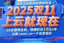 2025年双十一购买云服务器要多少钱-西部数码知识库