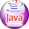 java ��������