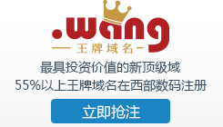 wang����,���Ͷ�ʼ�ֵ���¶�����