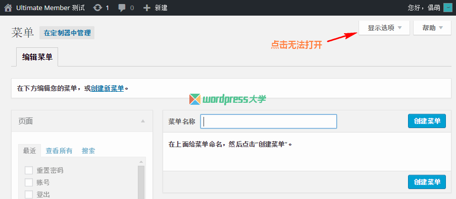 修复 WordPress 简体中文版的菜单“显示选项”无法点击